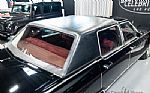 1979 Continental Thumbnail 9