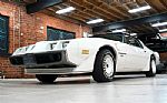 1980 Turbo Trans Am / Indy Pace Car Thumbnail 2