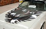 1980 Turbo Trans Am / Indy Pace Car Thumbnail 10