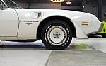 1980 Turbo Trans Am / Indy Pace Car Thumbnail 22
