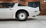 1980 Turbo Trans Am / Indy Pace Car Thumbnail 51