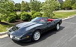 1991 Corvette Thumbnail 17