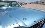 1966 Mustang Coupe Thumbnail 51