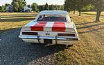 1969 Camaro Z11 Pace Car Thumbnail 5