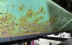 1978 Magnum XE 2 Door Hardtop Thumbnail 70