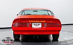 1976 Trans Am Thumbnail 15