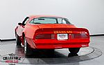 1976 Trans Am Thumbnail 14