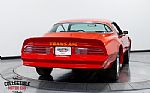 1976 Trans Am Thumbnail 16