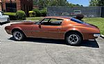 1970 Firebird Thumbnail 61