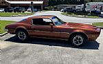 1970 Firebird Thumbnail 81