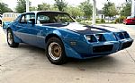 1979 Firebird Thumbnail 4