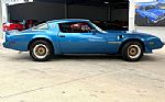 1979 Firebird Thumbnail 5