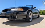 1999 Mustang SVT Cobra Thumbnail 4
