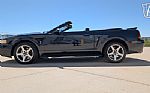 1999 Mustang SVT Cobra Thumbnail 7