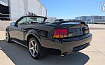 1999 Mustang SVT Cobra Thumbnail 9