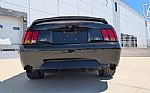 1999 Mustang SVT Cobra Thumbnail 13