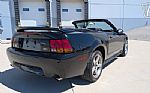 1999 Mustang SVT Cobra Thumbnail 15