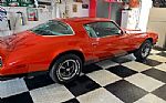 1976 Firebird Thumbnail 1