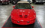 2002 Trans Am WS6 Convertible Thumbnail 25