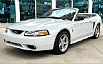 1999 Mustang SVT Cobra Thumbnail 1
