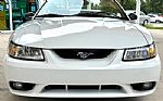 1999 Mustang SVT Cobra Thumbnail 2