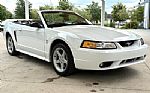 1999 Mustang SVT Cobra Thumbnail 4