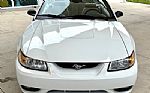 1999 Mustang SVT Cobra Thumbnail 3