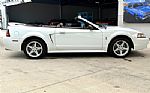 1999 Mustang SVT Cobra Thumbnail 5