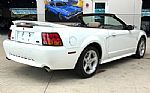 1999 Mustang SVT Cobra Thumbnail 6