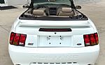 1999 Mustang SVT Cobra Thumbnail 8