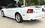 1999 Mustang SVT Cobra Thumbnail 9