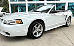 1999 Mustang SVT Cobra Thumbnail 12