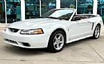 1999 Mustang SVT Cobra Thumbnail 11