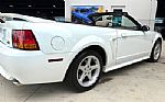 1999 Mustang SVT Cobra Thumbnail 16