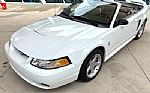 1999 Mustang SVT Cobra Thumbnail 20