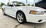 1999 Mustang SVT Cobra Thumbnail 19