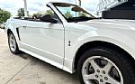 1999 Mustang SVT Cobra Thumbnail 18