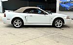 1999 Mustang SVT Cobra Thumbnail 22
