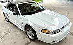 1999 Mustang SVT Cobra Thumbnail 21