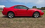 2004 Mustang Thumbnail 6