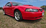 2004 Mustang Thumbnail 7