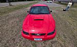 2004 Mustang Thumbnail 9