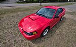 2004 Mustang Thumbnail 10