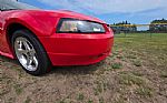 2004 Mustang Thumbnail 29