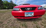 2004 Mustang Thumbnail 32