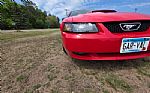 2004 Mustang Thumbnail 31