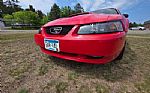 2004 Mustang Thumbnail 34