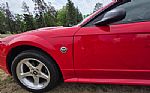 2004 Mustang Thumbnail 49