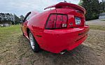 2004 Mustang Thumbnail 64