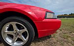 2004 Mustang Thumbnail 92